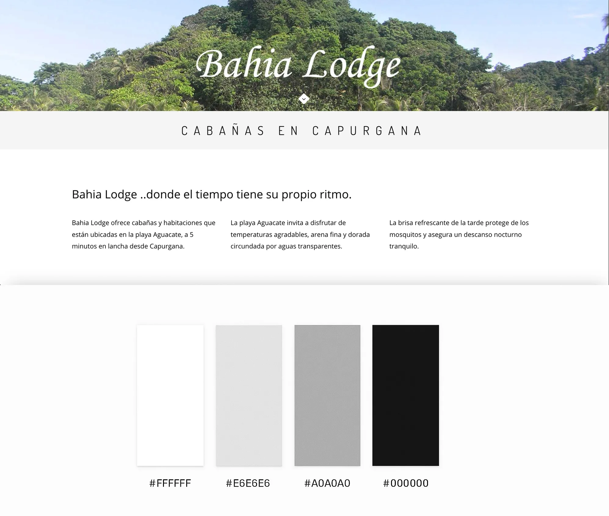 Before palette from Bahia Lodge
