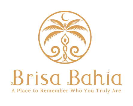 New Brisa Bahía logo after rebranding showing organic retreat center lettering